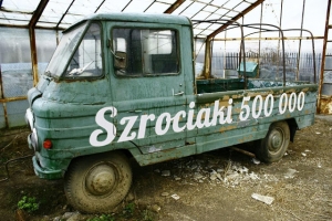 500.000 WEJŚĆ: 500.000 zgnitych Żuków