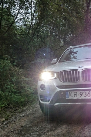w bmw brak wolnych obrotów